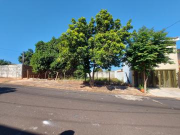 imagem 1 - Terreno para venda Jardim Zara imagem 1 - Terreno para venda Jardim Zara