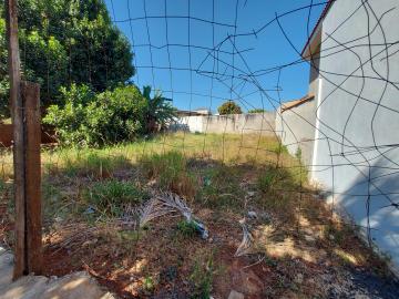 imagem 4 - Terreno para venda Jardim Zara imagem 4 - Terreno para venda Jardim Zara