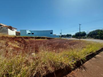 Terreno para locação City Ribeirão