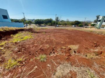 imagem 5 - Terreno comercial de 1170m² para locação na City Ribeirão imagem 5 - Terreno comercial de 1170m² para locação na City Ribeirão