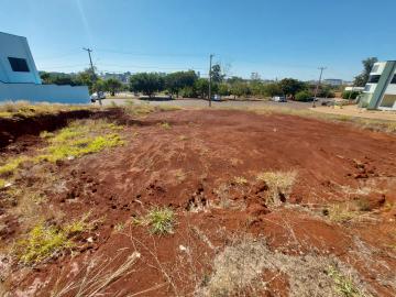 Terreno para locação City Ribeirão