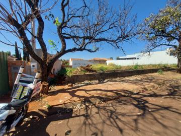 Terreno residencial para venda City Ribeirão