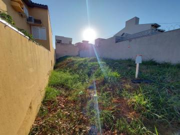 Terreno para venda Alto da Boa Vista