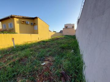 imagem 4 - Terreno para venda Alto da Boa Vista imagem 4 - Terreno para venda Alto da Boa Vista