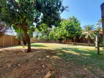 imagem 4 - Chácra para venda e locação pronta para morar no Jardim Recreio imagem 4 - Chácra para venda e locação pronta para morar no Jardim Recreio