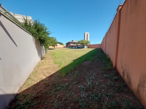 imagem 5 - Terreno à venda no condomínio Buganville. imagem 5 - Terreno à venda no condomínio Buganville.