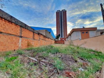 imagem 4 - Terreno no Jardim Botânico com 450m² ilha. imagem 4 - Terreno no Jardim Botânico com 450m² ilha.