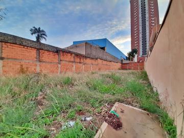 imagem 5 - Terreno no Jardim Botânico com 450m² ilha. imagem 5 - Terreno no Jardim Botânico com 450m² ilha.