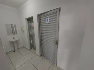 imagem 5 - Galpão para locação 264,34m² 3 vagas recuadas na Vila Monte Alegre imagem 5 - Galpão para locação 264,34m² 3 vagas recuadas na Vila Monte Alegre
