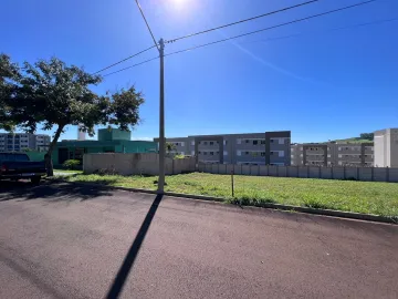 imagem 5 - Terreno no Bairro Terrs de San Pedro com 463 m² imagem 5 - Terreno no Bairro Terrs de San Pedro com 463 m²