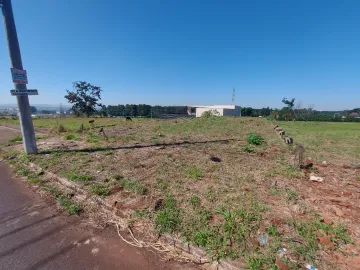 Alugar Terreno / Residencial em Ribeirão Preto. apenas R$ 240.000,00