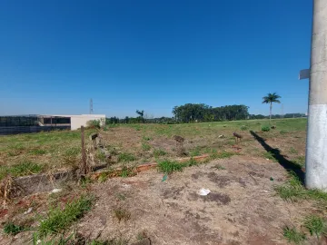 Terreno para venda com 473m² no Parque das Oliveiras próximo a Rodovia