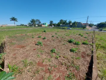 imagem 5 - Terreno para venda com 473m² no Parque das Oliveiras próximo a Rodovia imagem 5 - Terreno para venda com 473m² no Parque das Oliveiras próximo a Rodovia