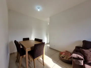 Apartamento para venda com 2 dormitórios e 1 vaga Jardim Paulistano