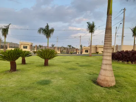 imagem 3 - Terreno de 250 m² à venda no Residencial Quinta da Mata imagem 3 - Terreno de 250 m² à venda no Residencial Quinta da Mata
