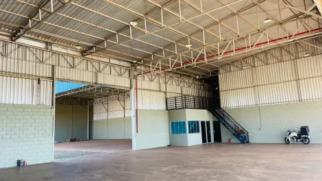 imagem 3 - Galpão comercial para locação na Rodovia Abraão Assed imagem 3 - Galpão comercial para locação na Rodovia Abraão Assed