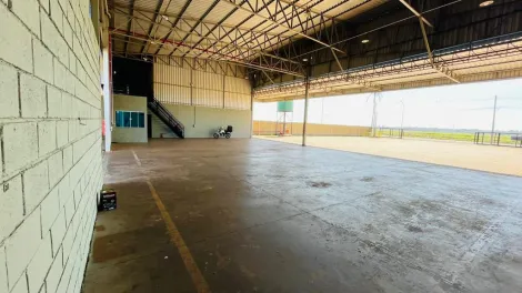 imagem 5 - Galpão comercial para locação na Rodovia Abraão Assed imagem 5 - Galpão comercial para locação na Rodovia Abraão Assed