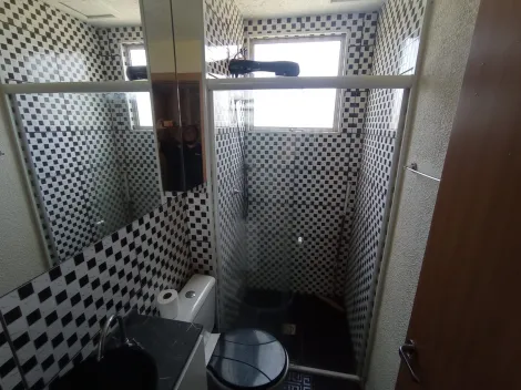 imagem 5 - Apartamento 02 dormitórios no Jd Manoel Penna ? Reino da Inglaterra imagem 5 - Apartamento 02 dormitórios no Jd Manoel Penna ? Reino da Inglaterra