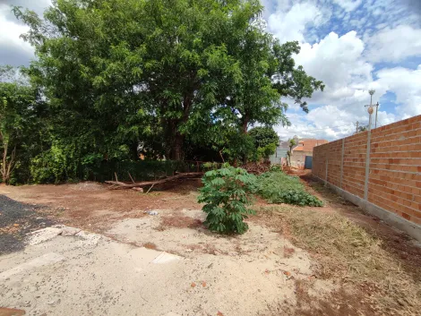 Terreno á venda localizado na Zona Norte