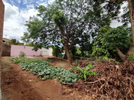 imagem 5 - Terreno á venda localizado na Zona Norte imagem 5 - Terreno á venda localizado na Zona Norte