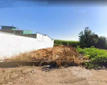 imagem 3 - terreno residencial no Bairro Jd. Palmares com 250 m² , plano. imagem 3 - terreno residencial no Bairro Jd. Palmares com 250 m² , plano.