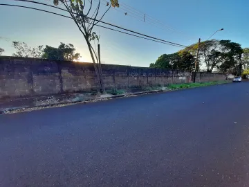 imagem 4 - Terreno no Bairro Recreio das Acácias , plano, murado com 4.802,50 m² imagem 4 - Terreno no Bairro Recreio das Acácias , plano, murado com 4.802,50 m²