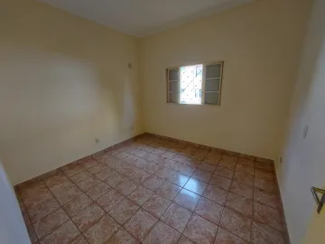 imagem 1 - Casa terrea para locação 2 dormitórios no Jardim Sumaré imagem 1 - Casa terrea para locação 2 dormitórios no Jardim Sumaré