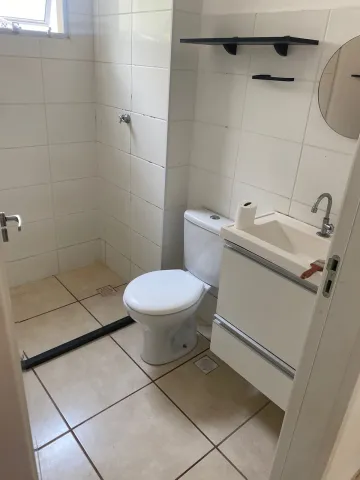 imagem 5 - Apartamento a venda, 2 dormitório, 1 vaga de garagem na Vila Abranches. imagem 5 - Apartamento a venda, 2 dormitório, 1 vaga de garagem na Vila Abranches.