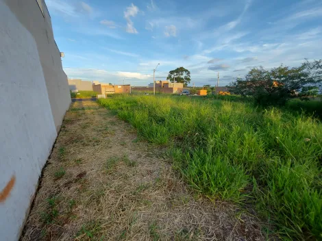 imagem 5 - Terreno à venda 150m² Parque das Gaivotas imagem 5 - Terreno à venda 150m² Parque das Gaivotas