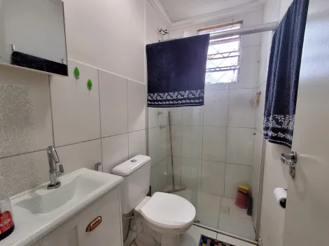 Apartamento à venda 2 dormitórios com armários e ventilador City Ribeirão