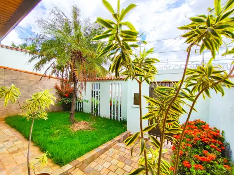 imagem 5 - Casa comercial à venda 6 salas, 3 vagas Nova Ribeirânia imagem 5 - Casa comercial à venda 6 salas, 3 vagas Nova Ribeirânia