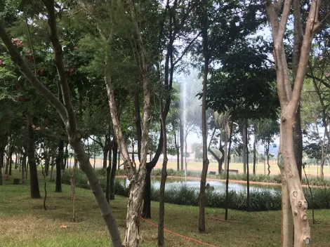 imagem 3 - Terreno Condomínio Alto Padrão em Cravinhos com mais de 2mil m² imagem 3 - Terreno Condomínio Alto Padrão em Cravinhos com mais de 2mil m²