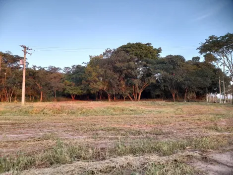 imagem 3 - Sítio 3 dormitórios 33047,00m² para venda em Cajuru imagem 3 - Sítio 3 dormitórios 33047,00m² para venda em Cajuru