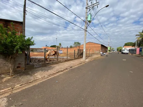 imagem 3 - Terreno misto à venda Jardim Salgado Filho imagem 3 - Terreno misto à venda Jardim Salgado Filho