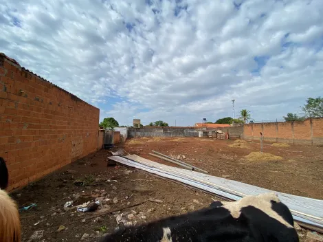 imagem 4 - Terreno misto à venda Jardim Salgado Filho imagem 4 - Terreno misto à venda Jardim Salgado Filho