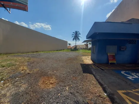 imagem 2 - Terreno comercial 405m² para locação Av. Independência imagem 2 - Terreno comercial 405m² para locação Av. Independência