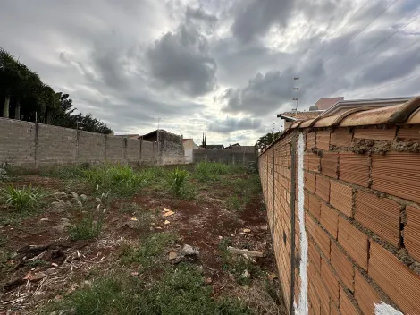 Terreno 490m² à venda City Ribeirão