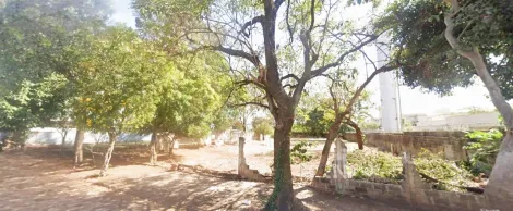 imagem 3 - Terreno plano com área de 3.254,00m² à venda Ipiranga imagem 3 - Terreno plano com área de 3.254,00m² à venda Ipiranga