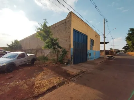 imagem 3 - Galpão comercial para locação na Vila Elisa imagem 3 - Galpão comercial para locação na Vila Elisa