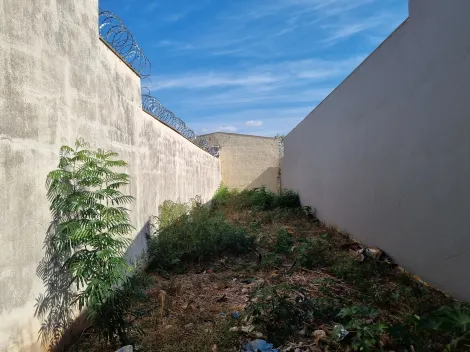 imagem 3 - Terreno - Residencial imagem 3 - Terreno - Residencial