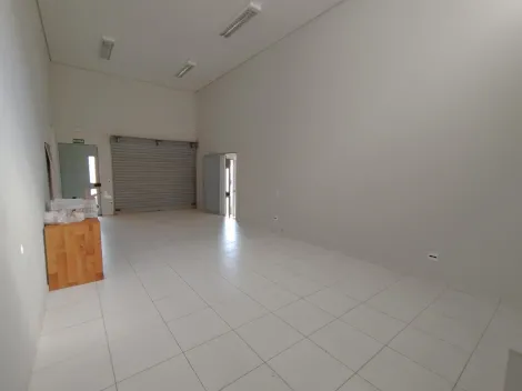 imagem 3 - Sala Comercial 55 m2 para Locação próximo a Av. Caramuru imagem 3 - Sala Comercial 55 m2 para Locação próximo a Av. Caramuru