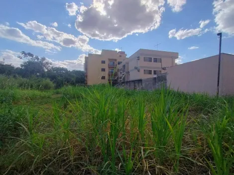 imagem 3 - Terreno - Residencial imagem 3 - Terreno - Residencial
