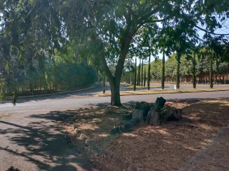imagem 4 - Terreno padrão à venda em Bonfim Paulista imagem 4 - Terreno padrão à venda em Bonfim Paulista