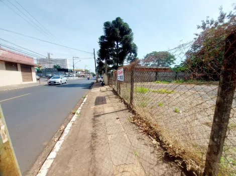 imagem 2 - Terreno Plano para locação no Jd. Paulistano imagem 2 - Terreno Plano para locação no Jd. Paulistano
