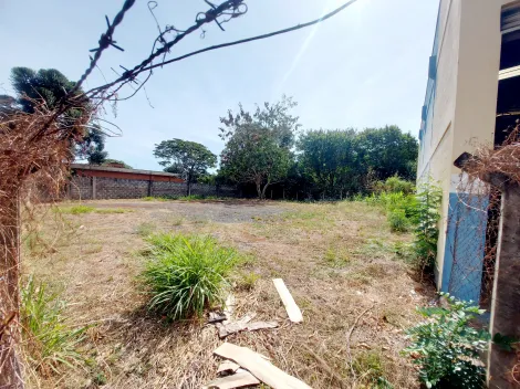 imagem 5 - Terreno Plano para locação no Jd. Paulistano imagem 5 - Terreno Plano para locação no Jd. Paulistano