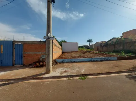 imagem 2 - Terreno plano à venda no Parque das Oliveiras imagem 2 - Terreno plano à venda no Parque das Oliveiras