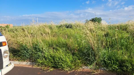 imagem 1 - Terreno a venda na cidade de Cravinhos no bairro Bella Cravinhos imagem 1 - Terreno a venda na cidade de Cravinhos no bairro Bella Cravinhos