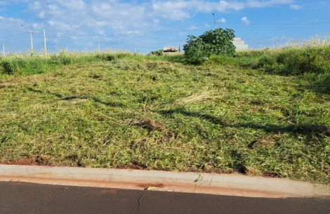 imagem 3 - Terreno a venda na cidade de Cravinhos no bairro Bella Cravinhos imagem 3 - Terreno a venda na cidade de Cravinhos no bairro Bella Cravinhos