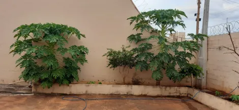 imagem 4 - Casa Área de Lazer de 250m² à venda no bairro Pq. Bandeirantes. imagem 4 - Casa Área de Lazer de 250m² à venda no bairro Pq. Bandeirantes.
