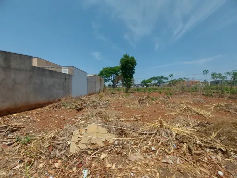 imagem 5 - Terreno comercial à venda no bairro Jardim Salgado Filho imagem 5 - Terreno comercial à venda no bairro Jardim Salgado Filho